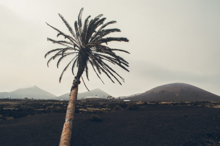 Lanzarote